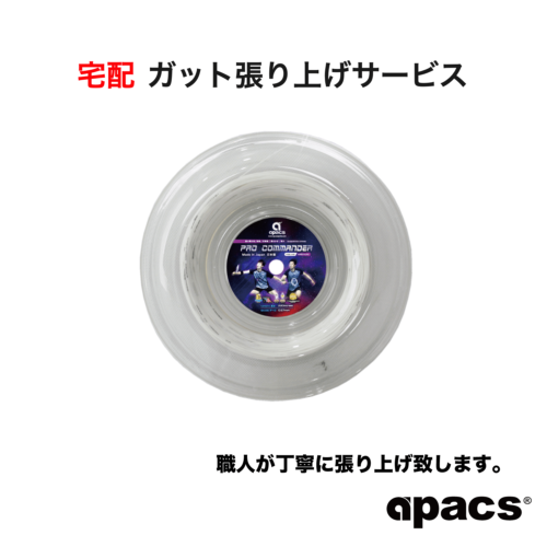 ASSAILANT PRO 0.63mm | APACS JAPAN