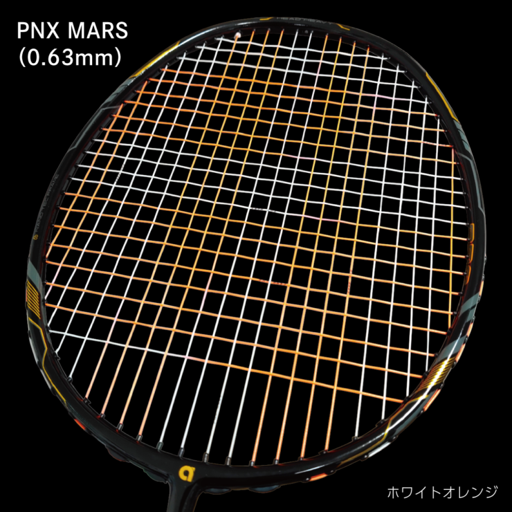 PNX-MARS