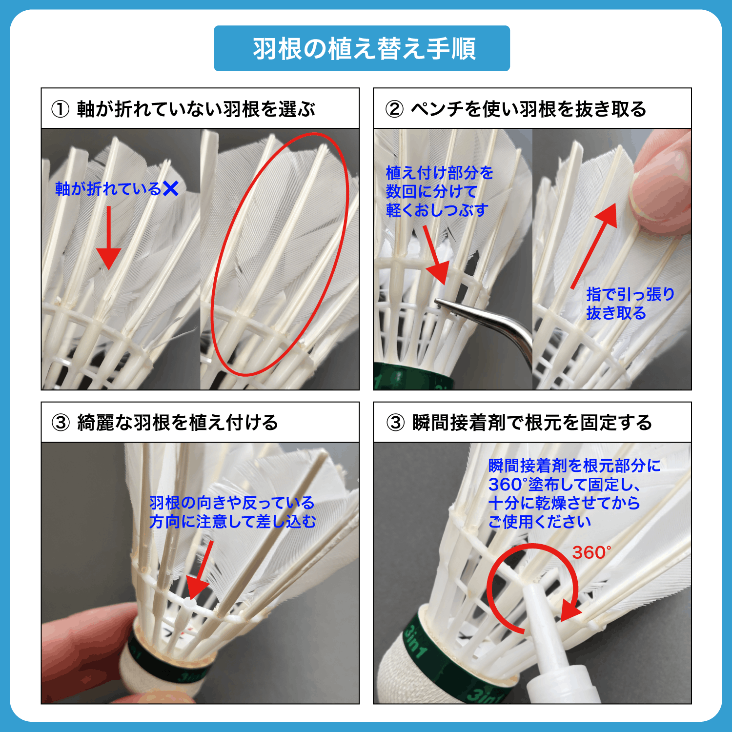 ハイブリッドシャトル 1ダース ガチョウ羽根 高耐久 送料無料 | APACS 